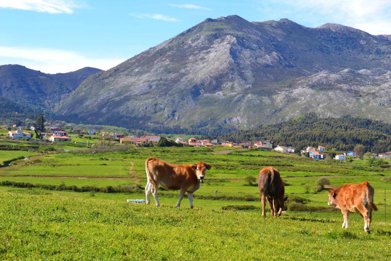 Villa Casa Palo Balcon A Picos De Europa Arriondas Esterno foto